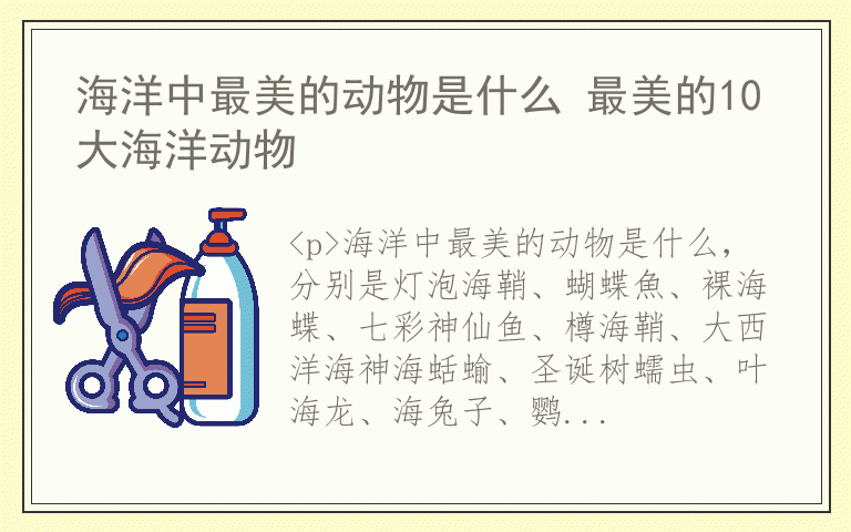 海洋中最美的动物是什么 最美的10大海洋动物