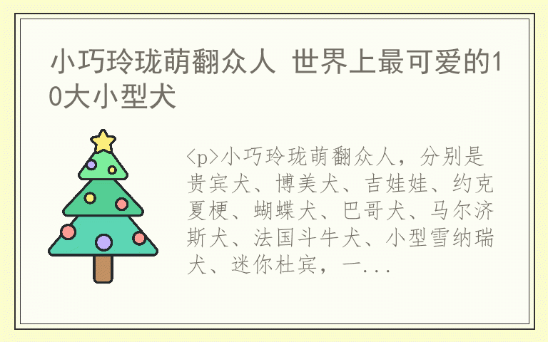 小巧玲珑萌翻众人 世界上最可爱的10大小型犬