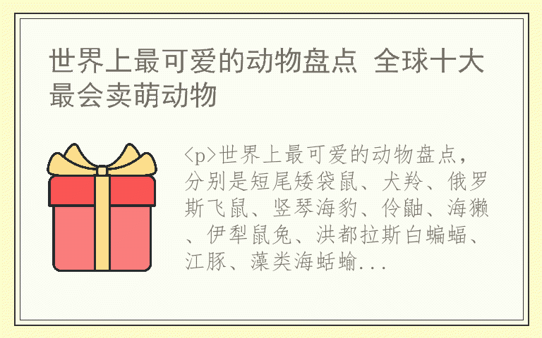 世界上最可爱的动物盘点 全球十大最会卖萌动物