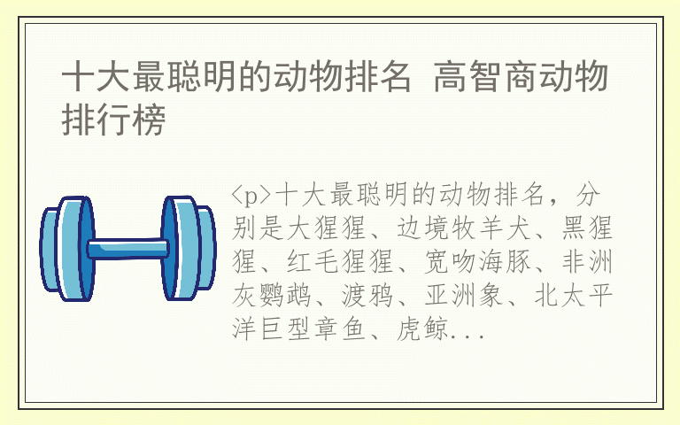 十大最聪明的动物排名 高智商动物排行榜