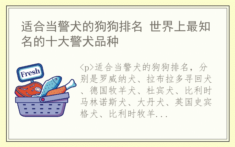 适合当警犬的狗狗排名 世界上最知名的十大警犬品种