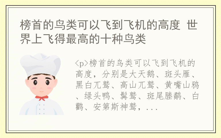 榜首的鸟类可以飞到飞机的高度 世界上飞得最高的十种鸟类