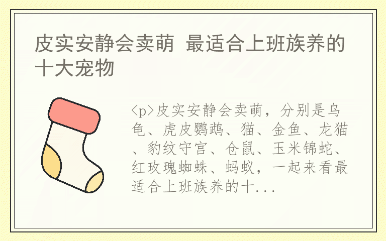 皮实安静会卖萌 最适合上班族养的十大宠物