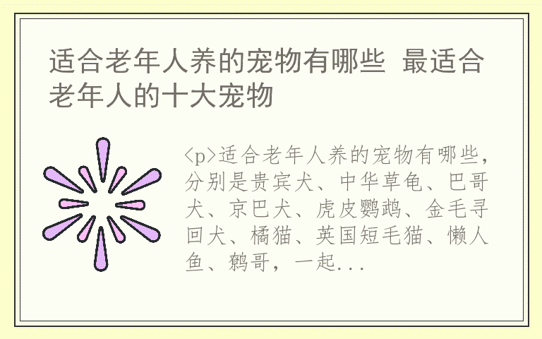 适合老年人养的宠物有哪些 最适合老年人的十大宠物