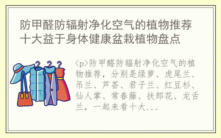防甲醛防辐射净化空气的植物推荐 十大益于身体健康盆栽植物盘点