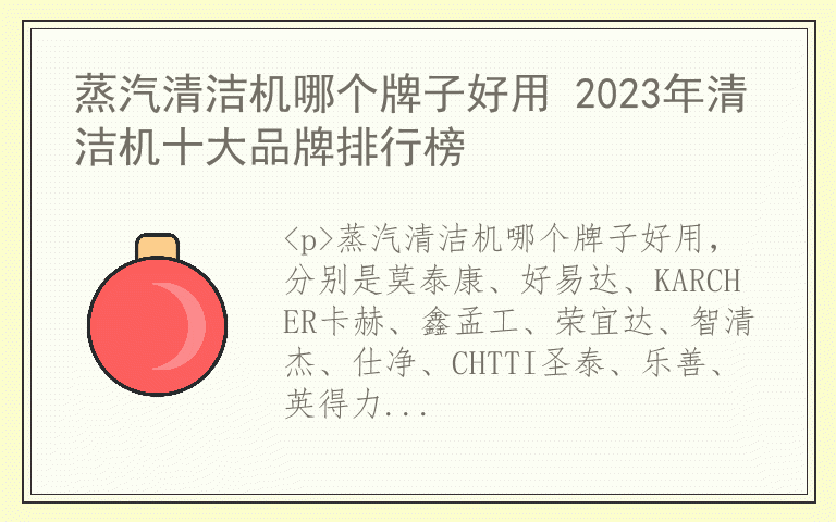 蒸汽清洁机哪个牌子好用 2023年清洁机十大品牌排行榜