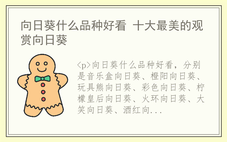 向日葵什么品种好看 十大最美的观赏向日葵