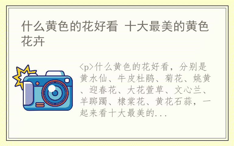 什么黄色的花好看 十大最美的黄色花卉
