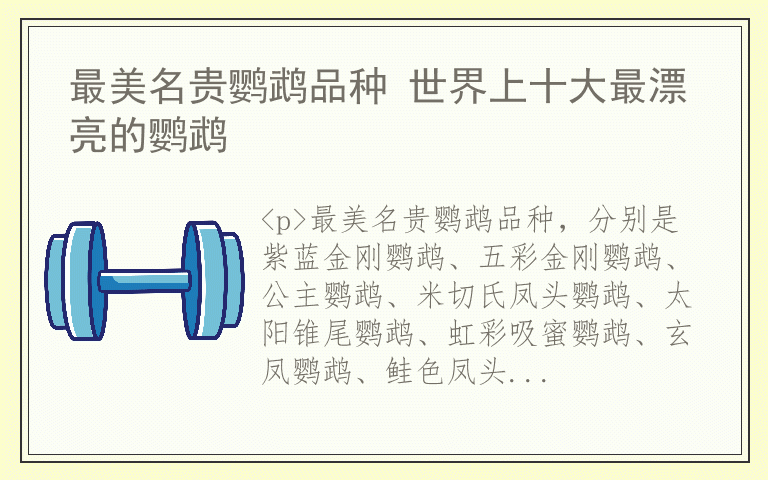 最美名贵鹦鹉品种 世界上十大最漂亮的鹦鹉