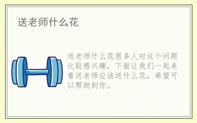 送老师什么花