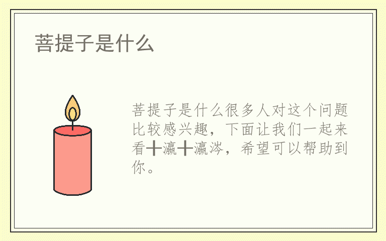 菩提子是什么