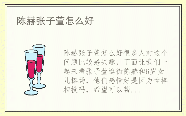 陈赫张子萱怎么好