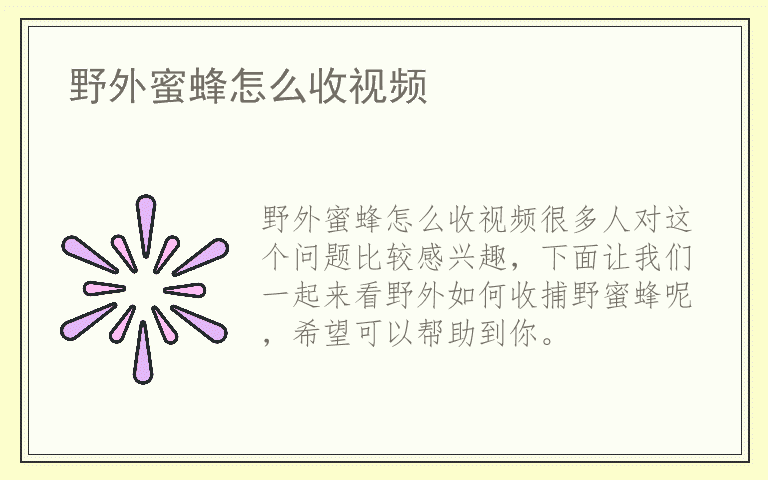 野外蜜蜂怎么收视频