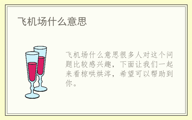 飞机场什么意思