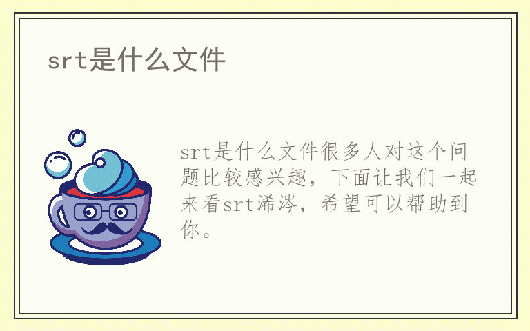 srt是什么文件