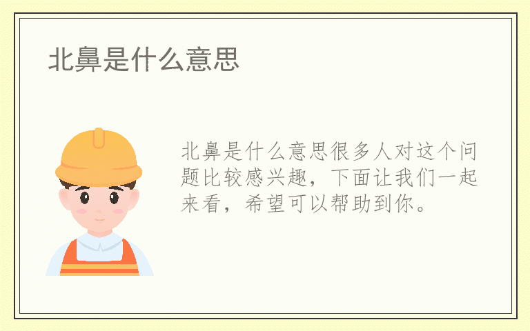 北鼻是什么意思