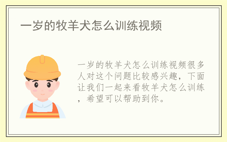 一岁的牧羊犬怎么训练视频