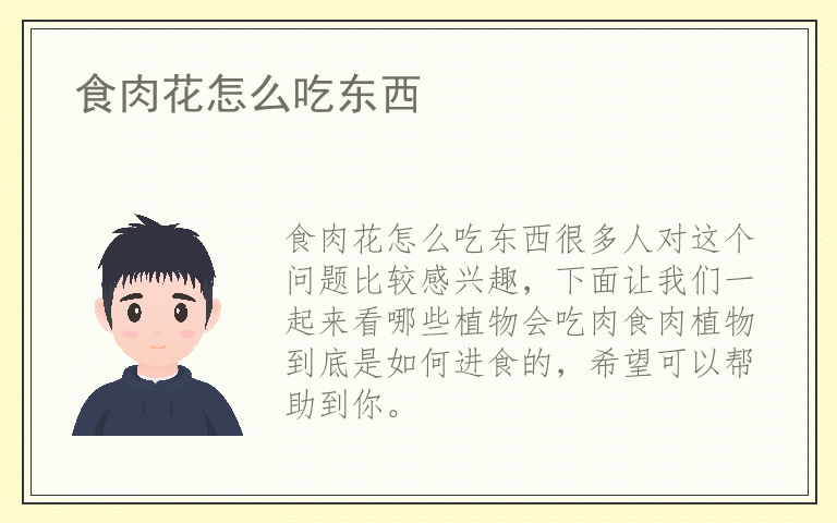 食肉花怎么吃东西