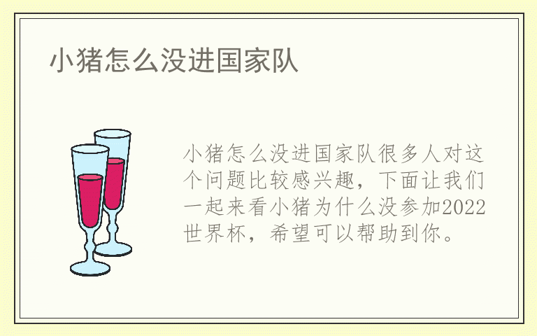 小猪怎么没进国家队