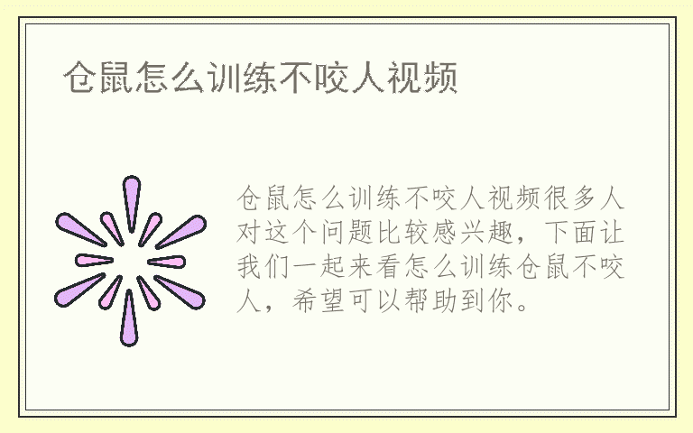 仓鼠怎么训练不咬人视频