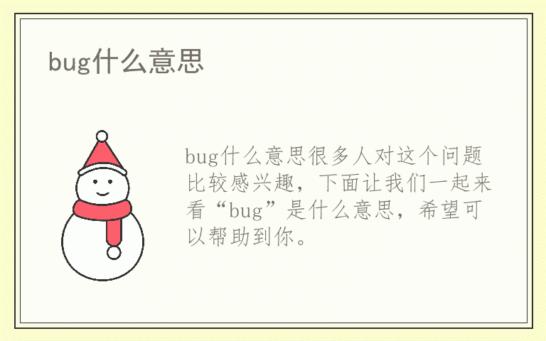 bug什么意思