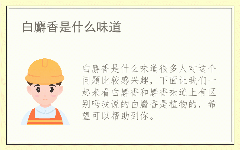 白麝香是什么味道