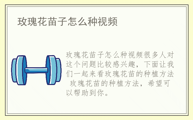 玫瑰花苗子怎么种视频