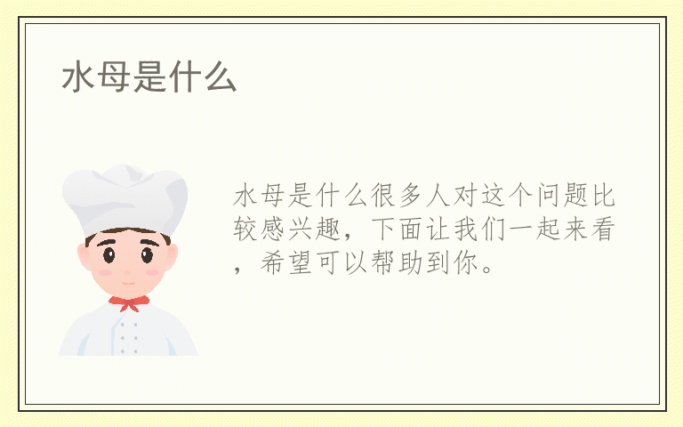 水母是什么