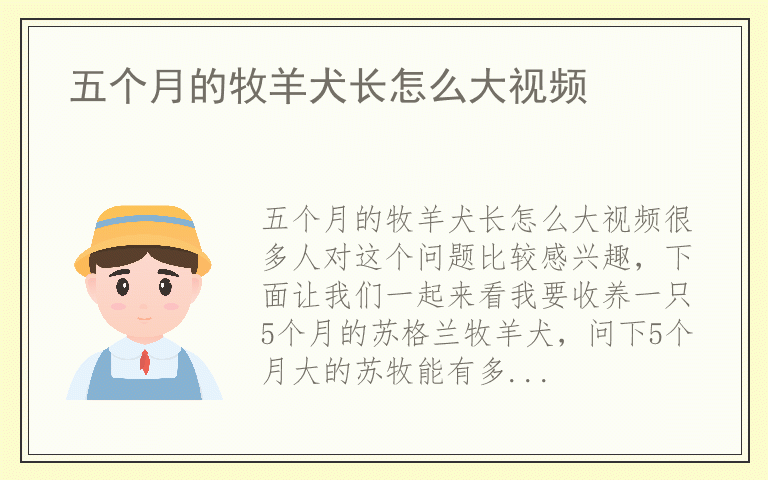 五个月的牧羊犬长怎么大视频