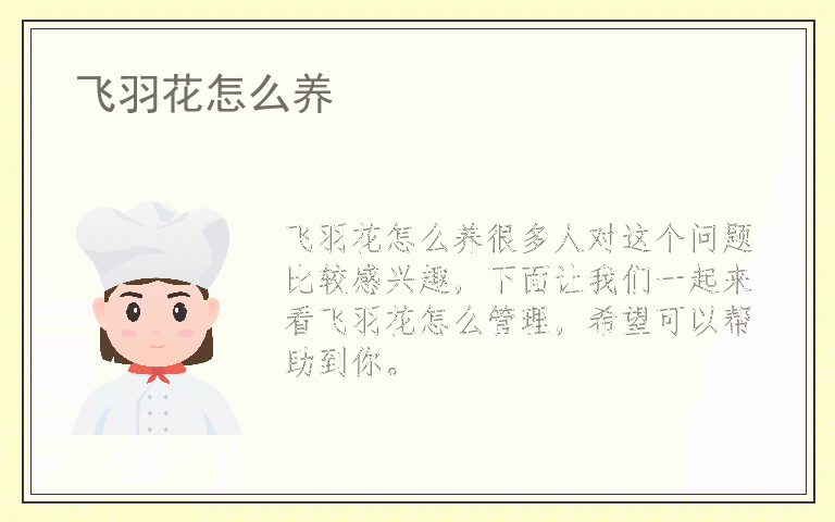 飞羽花怎么养