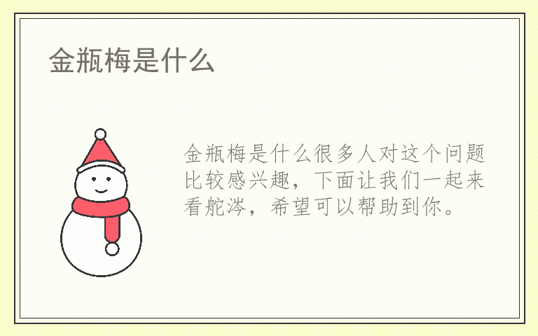 金瓶梅是什么