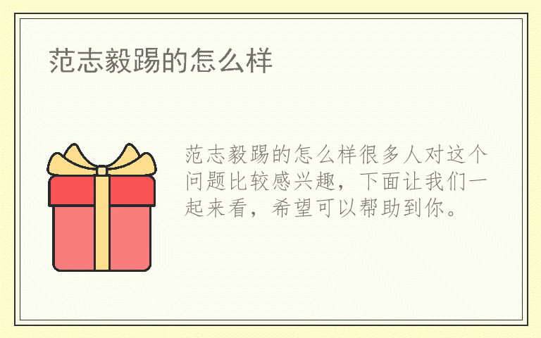 范志毅踢的怎么样