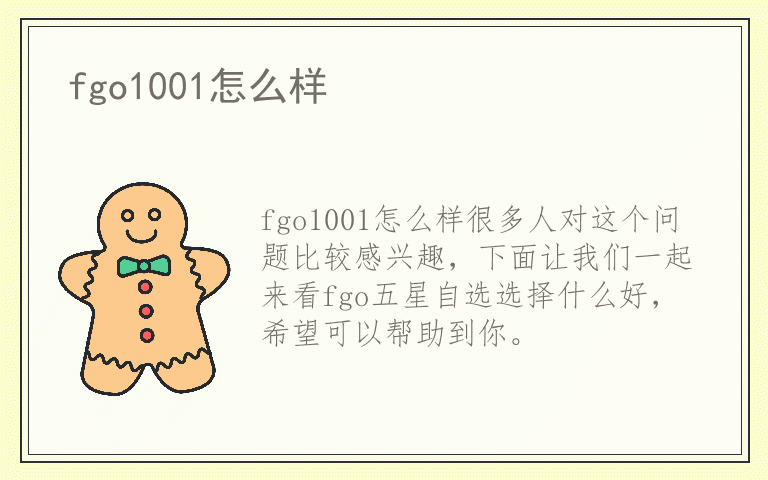 fgo1001怎么样