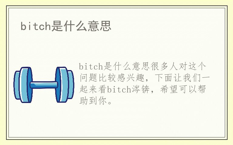 bitch是什么意思