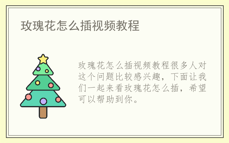 玫瑰花怎么插视频教程