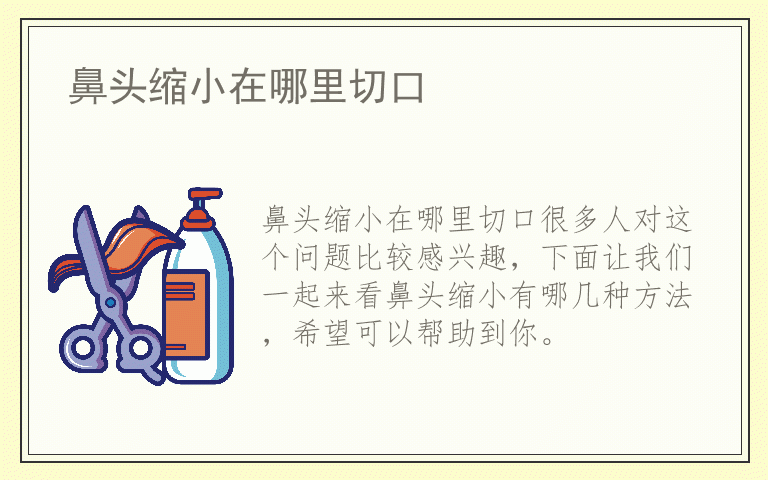 鼻头缩小在哪里切口