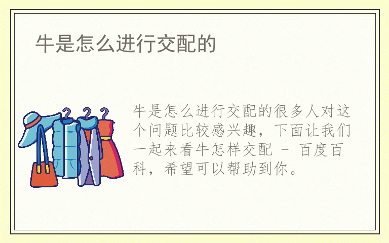 牛是怎么进行交配的