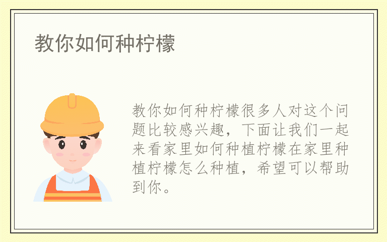 教你如何种柠檬