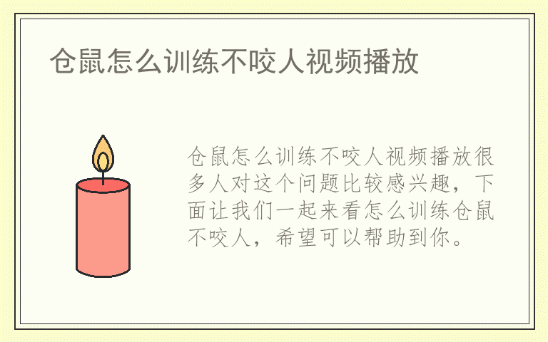 仓鼠怎么训练不咬人视频播放