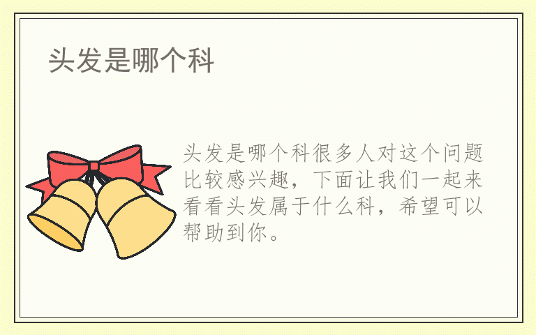 头发是哪个科