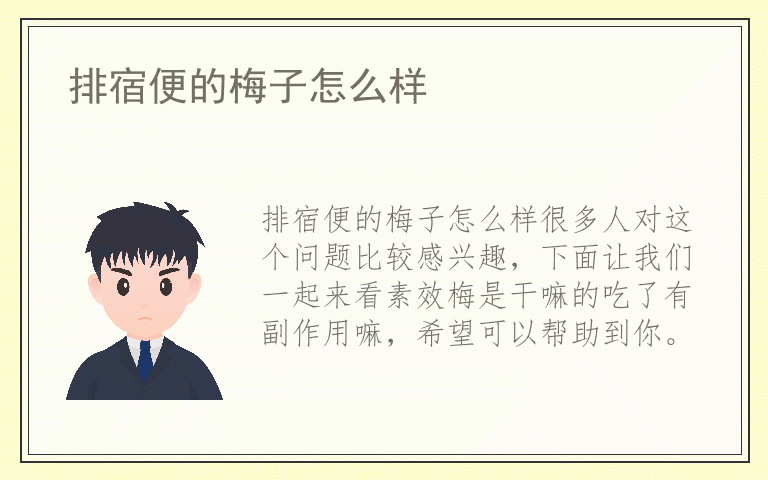 排宿便的梅子怎么样