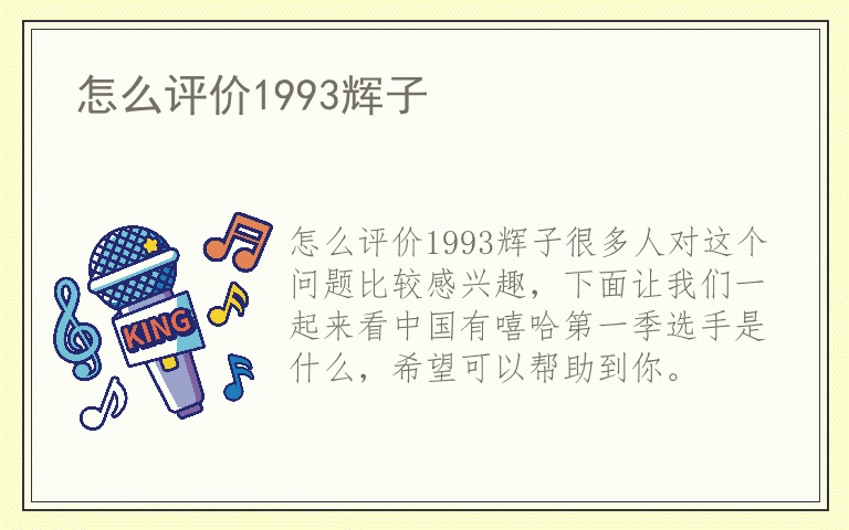 怎么评价1993辉子