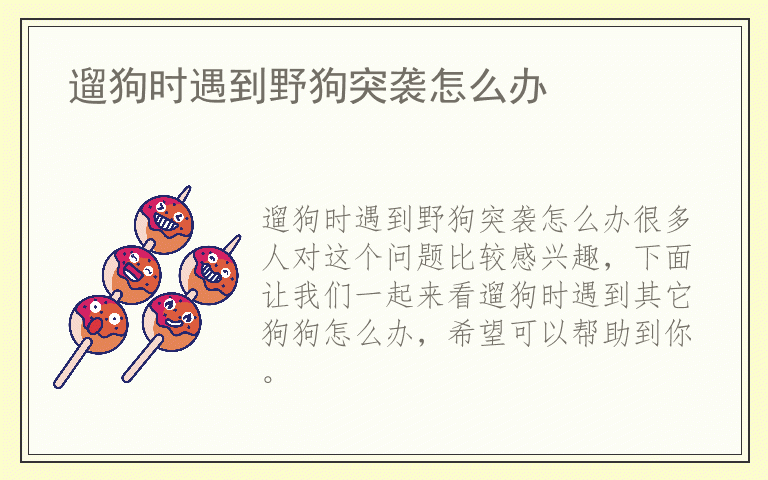 遛狗时遇到野狗突袭怎么办