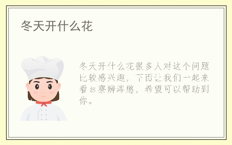 冬天开什么花