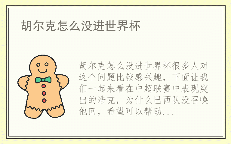 胡尔克怎么没进世界杯