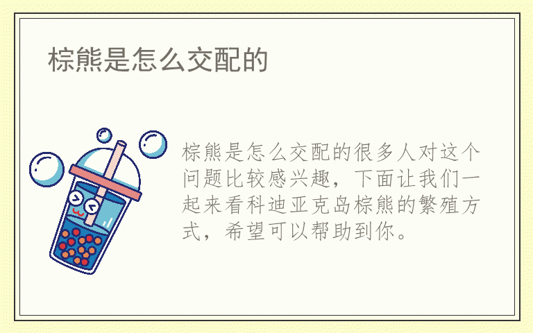 棕熊是怎么交配的