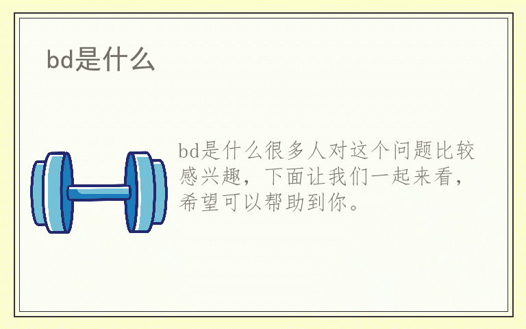 bd是什么