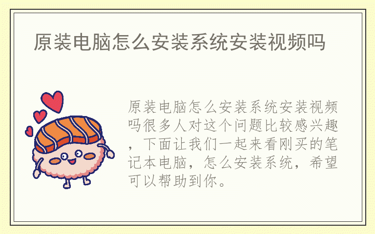 原装电脑怎么安装系统安装视频吗
