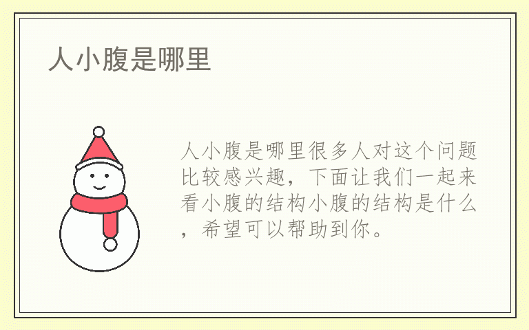 人小腹是哪里