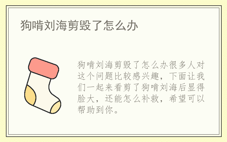 狗啃刘海剪毁了怎么办